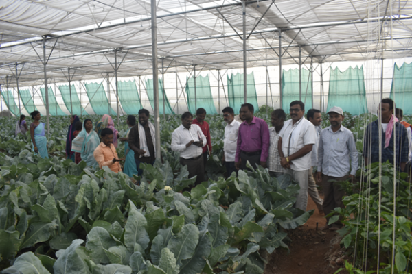 Farmer’s exposure visit to “Centre Of Excellence (Vegetables & Flowers)” at Jeedimetla