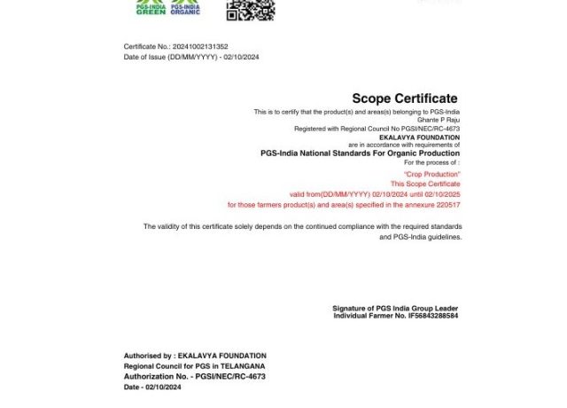 Copy of EF AR 2024-25 Draft  - 32